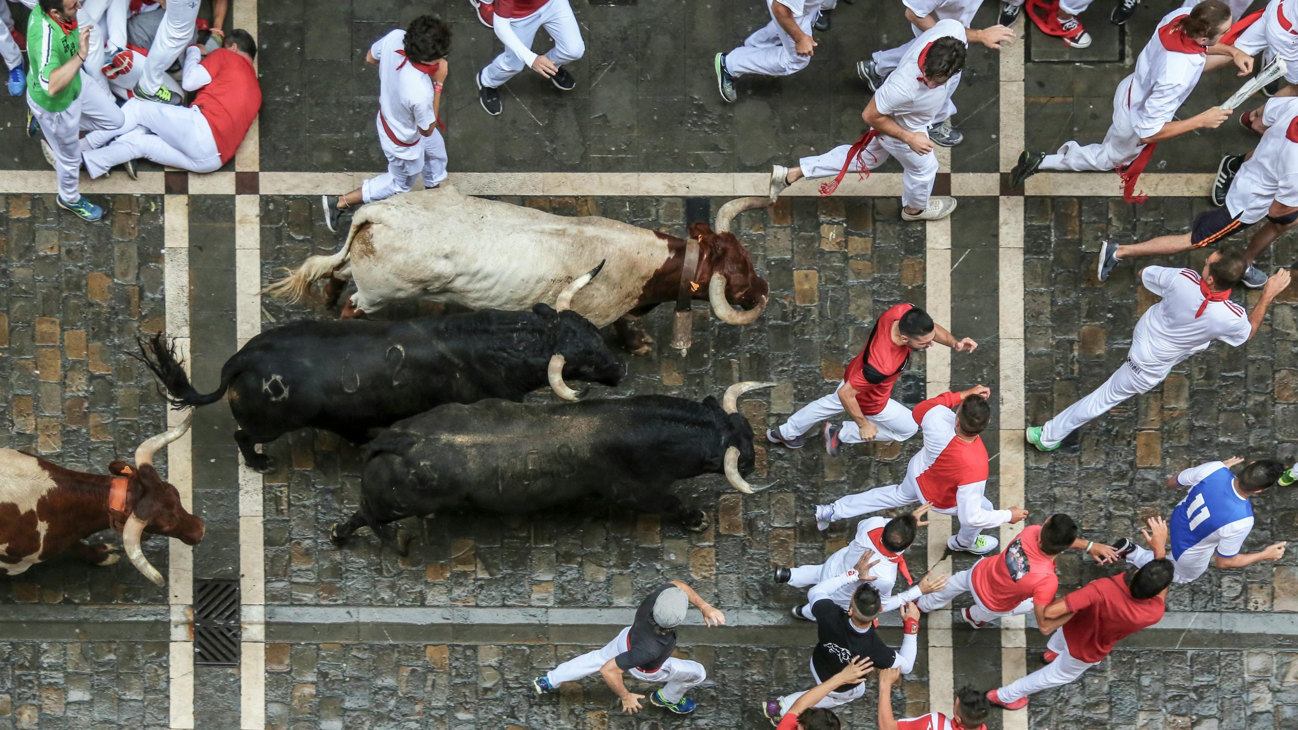 Running of the bulls